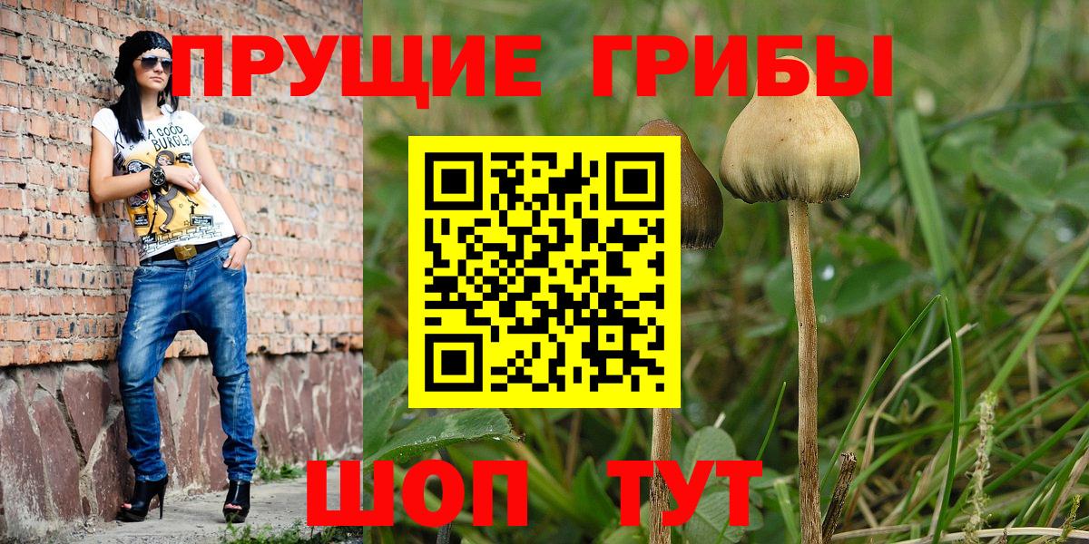 Топки  Галлюциногенные грибы Psilocybine cubensis  Псилоцибиновые грибы мухоморы  Вход с VPN 