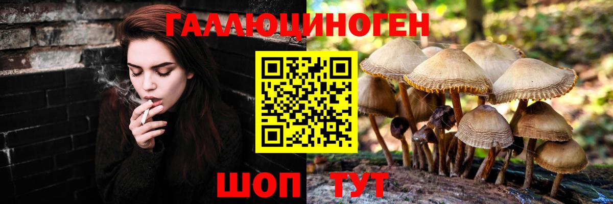 Галлюциногенные грибы прущие грибы Топки